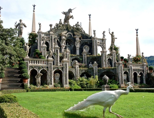 LAKE MAGGIORE